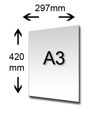 A3